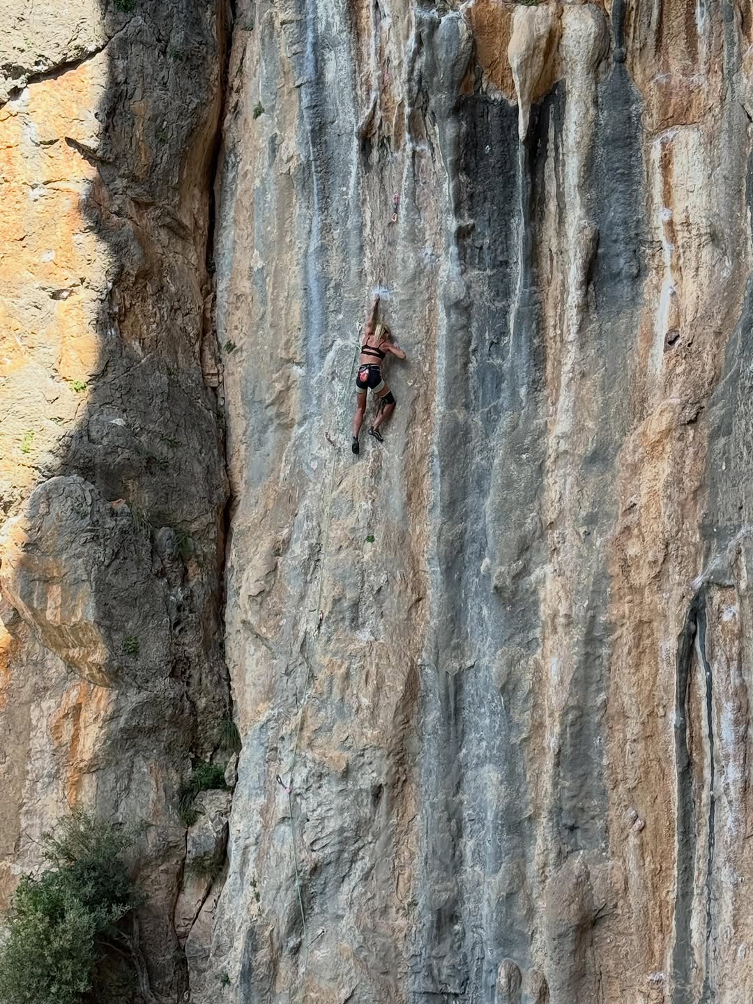 On the wall
